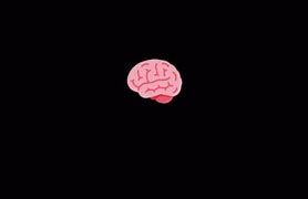 Image result for fMRI Brain GIF