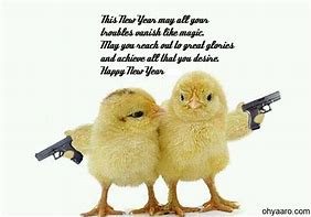 Image result for Happy New Year Images Funny Animals