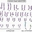 Image result for Chromosome 12 Human