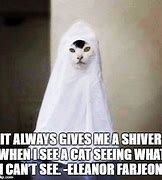 Image result for Ghost Cat Meme