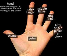 Image result for What Has Five Hands