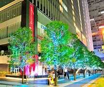 Image result for What to Do in Akihabara