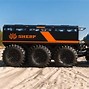 Image result for Sherp USA Ark Sue Aikens