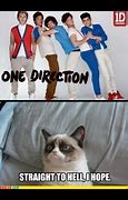 Image result for One Direction Grumpy Cat Memes