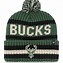 Image result for Milwaukee Bucks Winter Hat