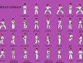 Image result for Martial Arts Sparring Tree