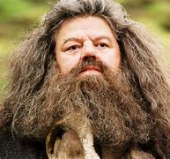 Image result for Harry Potter Beard Professors