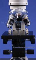 Image result for High Power Microscope