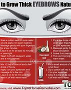 Image result for How to Grow Eyebrows