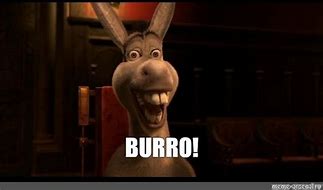 Image result for Burro Meme