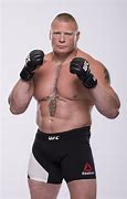 Image result for Brock Lesnar in UFC