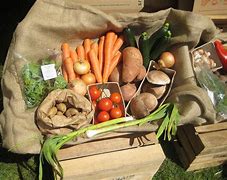 Image result for Packaging for Fruits and Vegetables
