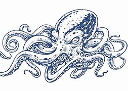 Image result for Octopus Clip Art Black and White Free SVG