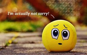 Image result for Funny Apology Quotes