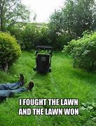 Image result for Vacuum Lawn Meme