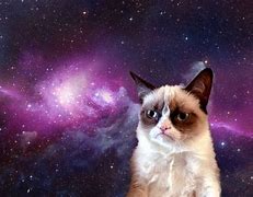 Image result for Funny Galaxy Cat Backgrounds