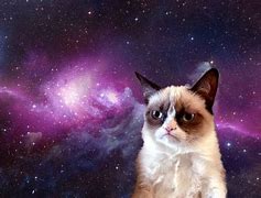 Image result for Cat Wallpaper Desktop Funny Space