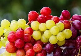 Image result for Red Grapes Organic