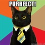 Image result for Taking Care of Business Cat Meme