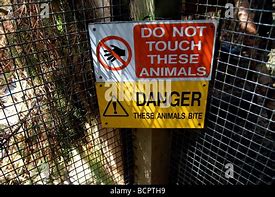 Image result for Do Not Touch Animals Sign