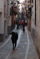 Image result for alarcoso
