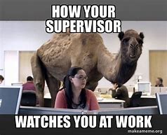 Image result for Newest Supervisor Animal Meme