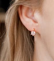 Image result for Rose Gold Huggie Earrings