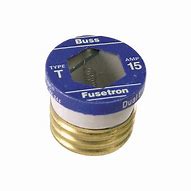 Image result for 15 Amp Buss Fuse