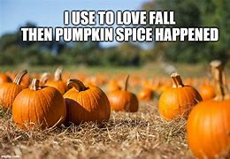 Image result for Pumpkin Meme