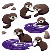 Image result for Otter in the Water