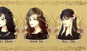 Image result for Andromeda Black vs Bellatrix