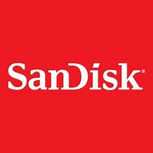 Image result for SanDisk Icon