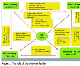 Image result for Disciplinary Process Flow Chart