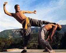 Image result for 6 Kung Fu Styles