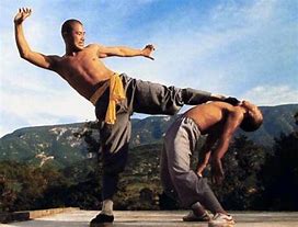 Image result for How to Kung Fu
