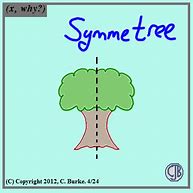 Image result for Axis Symmetry Meme