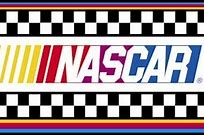 Image result for NASCAR Racing Stripes