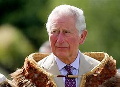 Image result for Prince Charles King of England