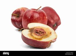 Image result for Rotten Cut Apple