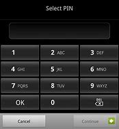 Image result for Enter Your Pin Screen for Android
