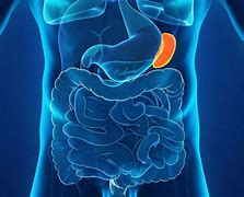 Image result for Spleen with Mono