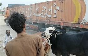 Image result for Karachi Cargo Truck