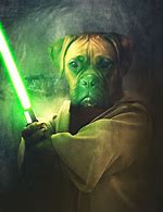 Image result for Star Wars Animals with Lightsabers