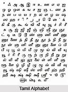 Image result for Tamil Is a Language