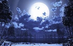 Image result for Full Moon Winter Night Landscape