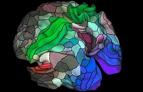Image result for Electric Map of the Brain
