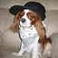 Image result for Funny Gangster Dog