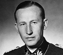 Heydrich 的图像结果