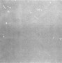 Image result for 35Mm Grain Texture