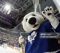 Image result for Toronto Maple Leafs Mascot Carlton The Bear Photos